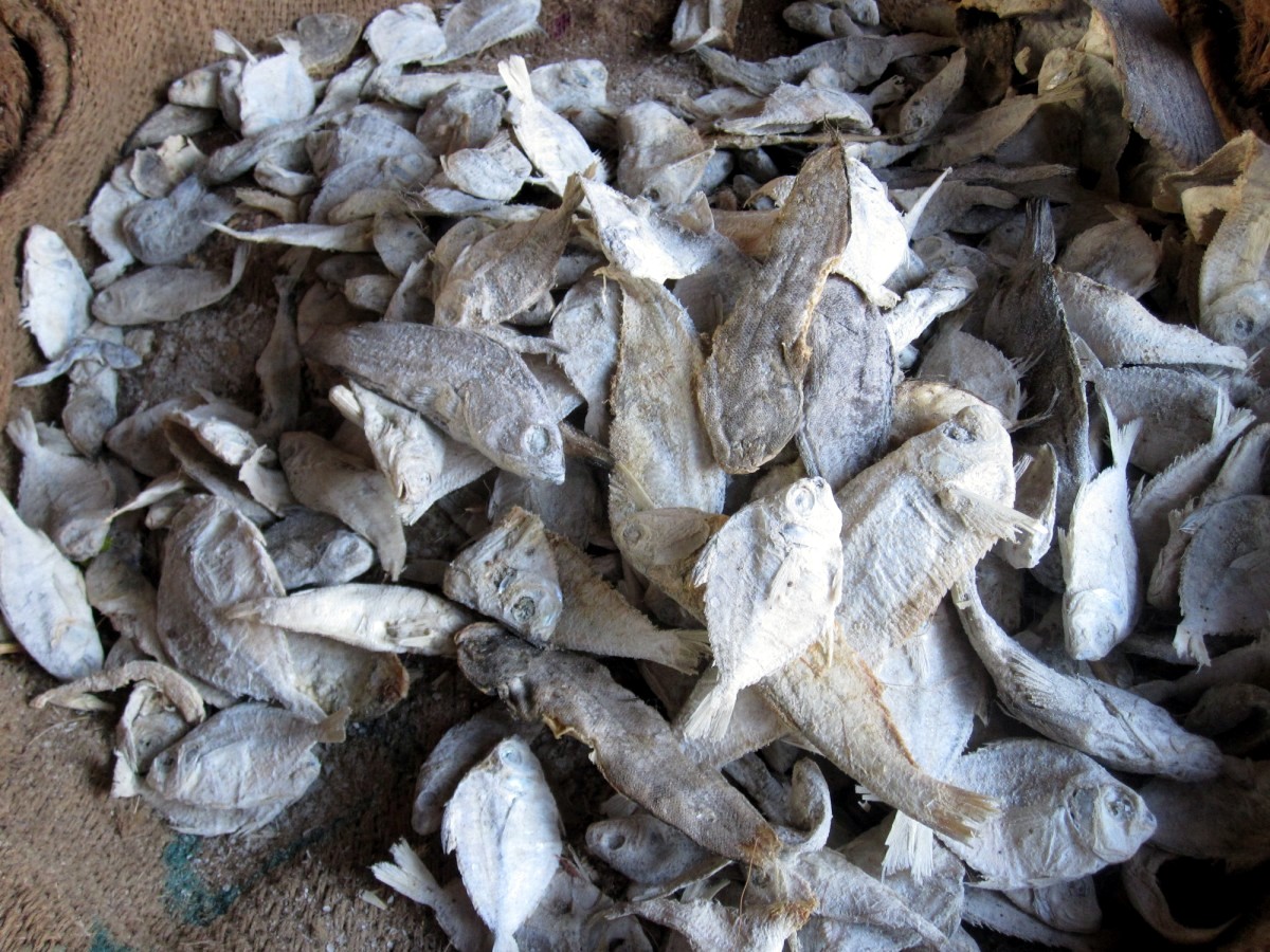 Mangalore Mangalore Mangalore Dry Fish Market